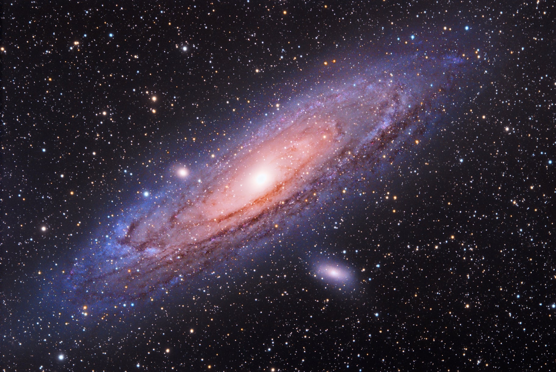 Andromeda with Vega Goto