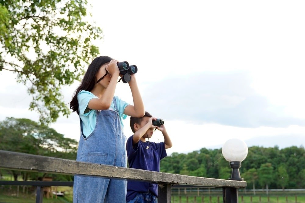 Discover the Many Practical Uses of Binoculars: A Comprehensive Guide - Pie Matrix