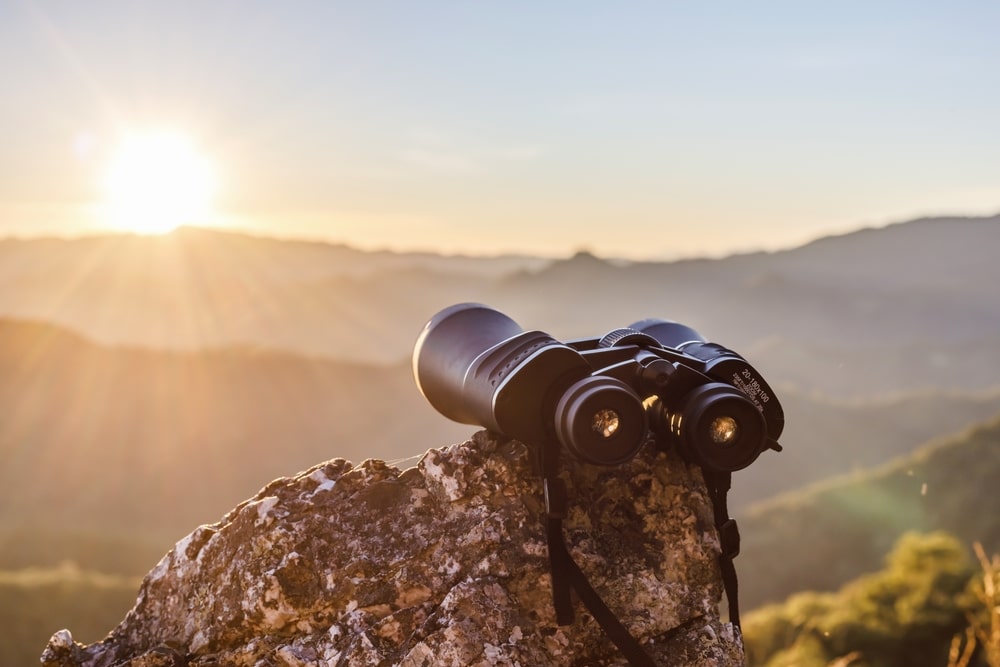 About Binoculars