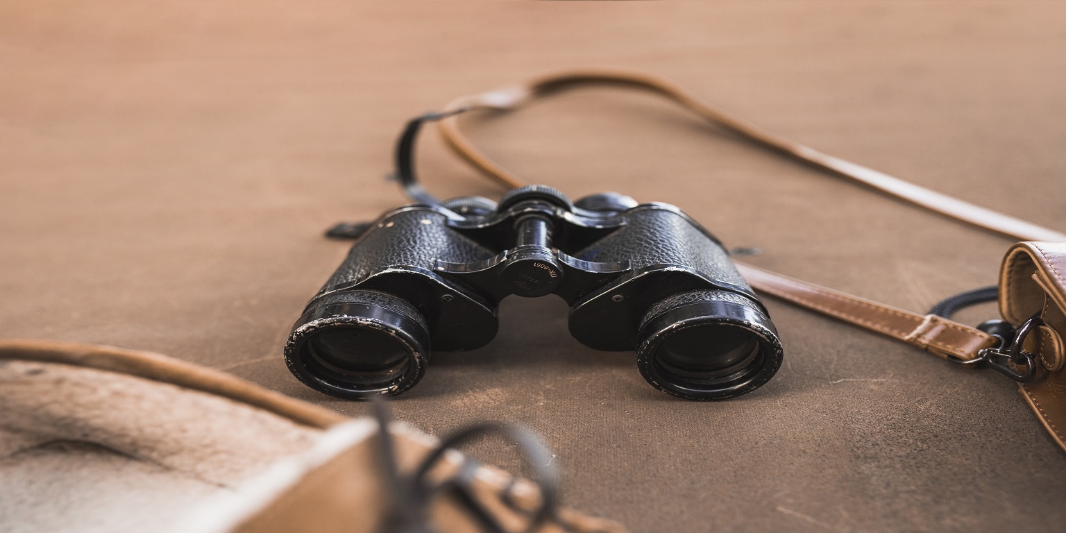 Choose the Best Binoculars for Stargazing